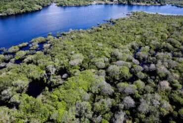 Desmatamento na Amazônia cai em junho, mas Mato Grosso acumula alta anual