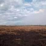 Fazendeiro é multado em R$ 50 milhões por incêndio criminoso no Pantanal de Mato Grosso