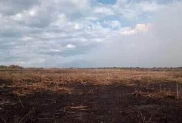 Fazendeiro é multado em R$ 50 milhões por incêndio criminoso no Pantanal de Mato Grosso
