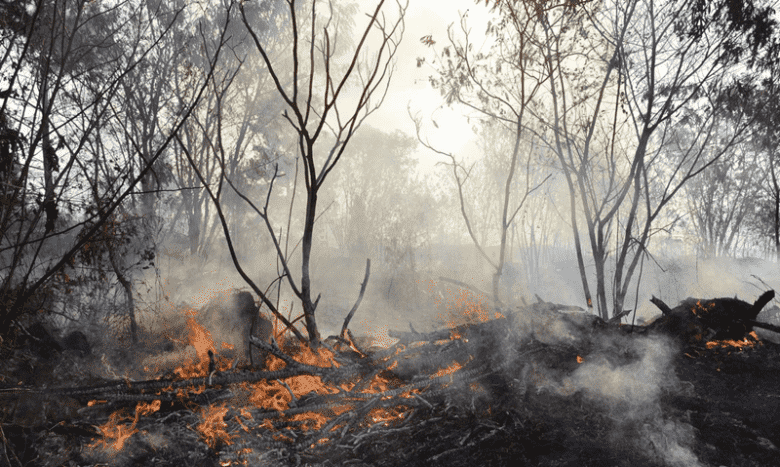 Mato Grosso lidera ranking de queimadas no início do período seco 79 Mato Grosso lidera ranking de queimadas no início do período seco