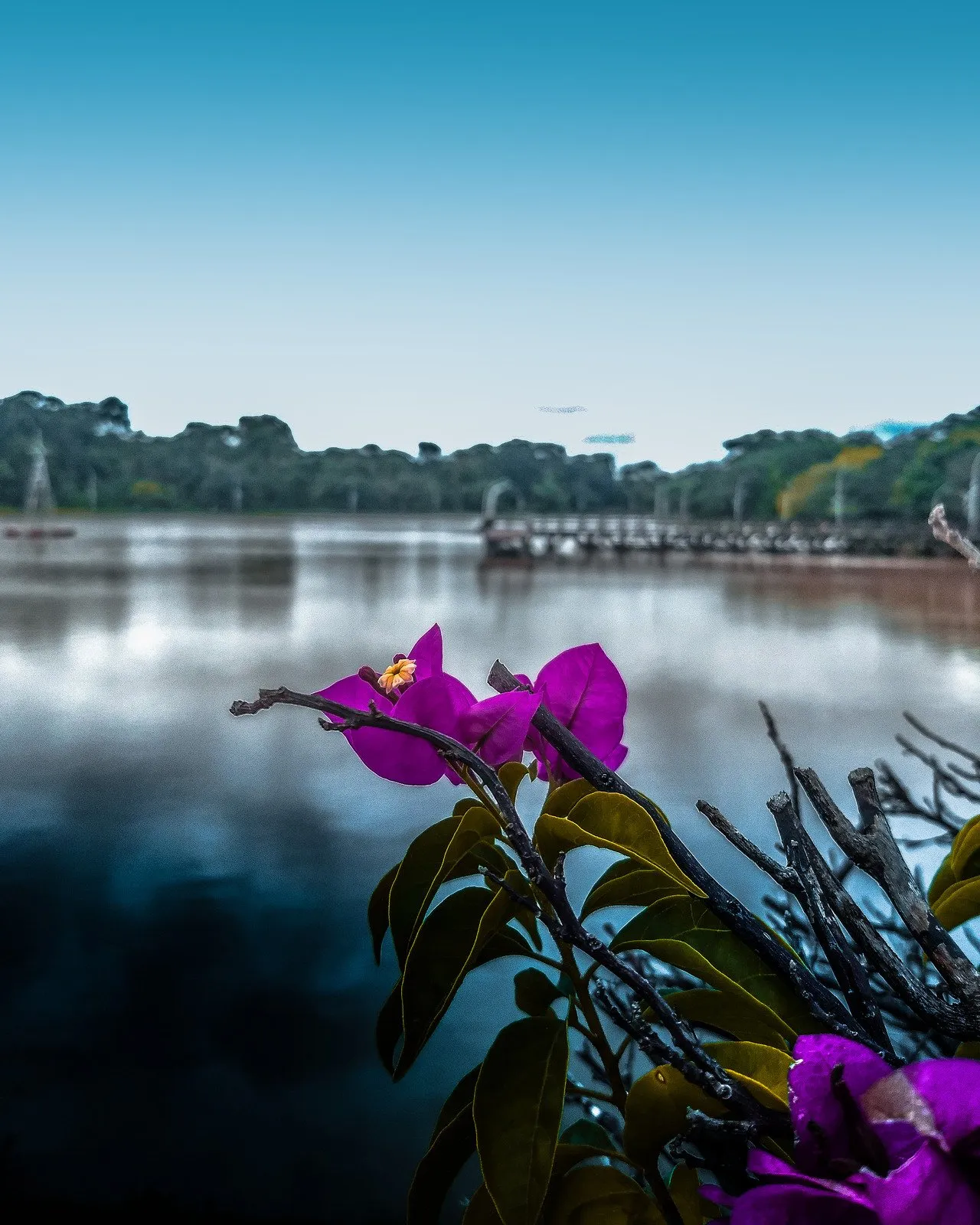 Ernani Machado Lake - Lucas do Rio Verde, Mato Grosso, MT, Brazil - Fotos do Canva1