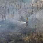 Corpo de Bombeiros de Lucas do Rio Verde combate incêndio florestal que consome 10 hectares de vegetação