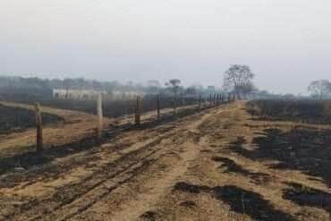 Grupo agropecuário é acusado de causar incêndio criminoso de grandes proporções em Mato Grosso