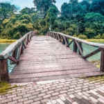 Lucas Do Rio Verde - Fotos profissionais premium e gratuitas - Canva1