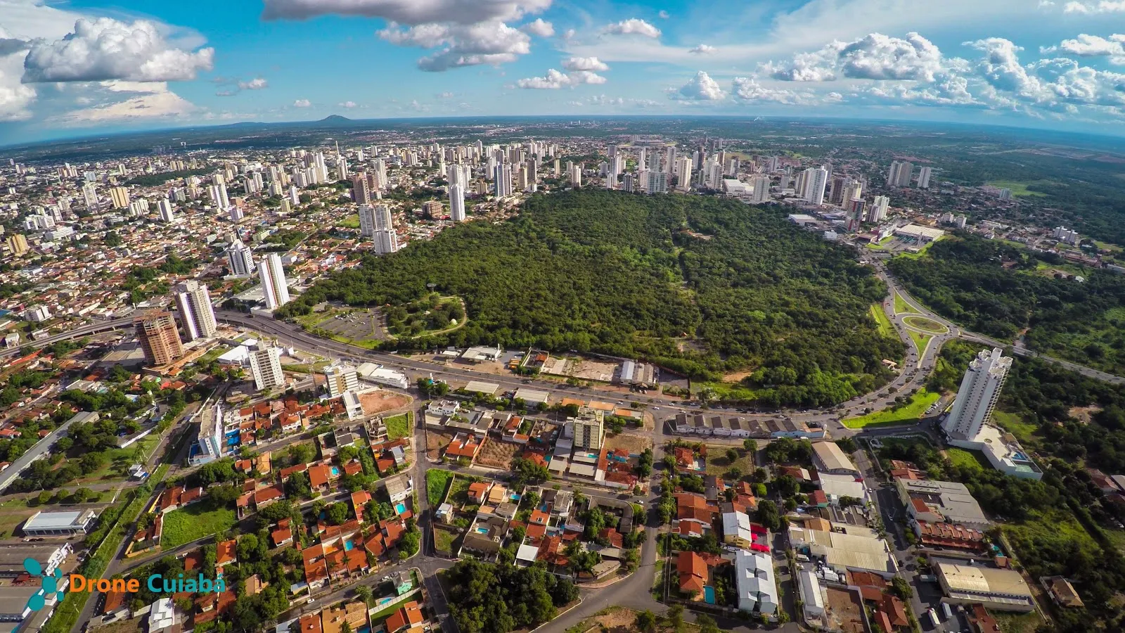 Mae bonifácia aerea