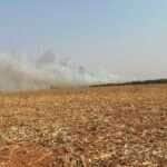 Bombeiros e brigada mista combatem incêndio em palhada de milho e mata em área de preservação permanente em Lucas do Rio Verde