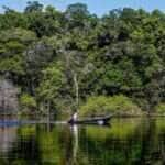 Desmatamento em Mato Grosso cai 43% em 2024, mas perdeu 92,5 mil ha de vegetação em 2024