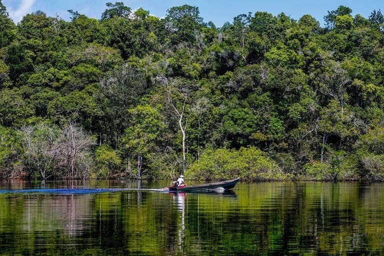 Desmatamento em Mato Grosso cai 43% em 2024, mas perdeu 92,5 mil ha de vegetação em 2024