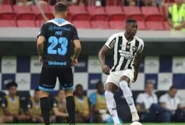 Botafogo, grêmio, brasileiro
