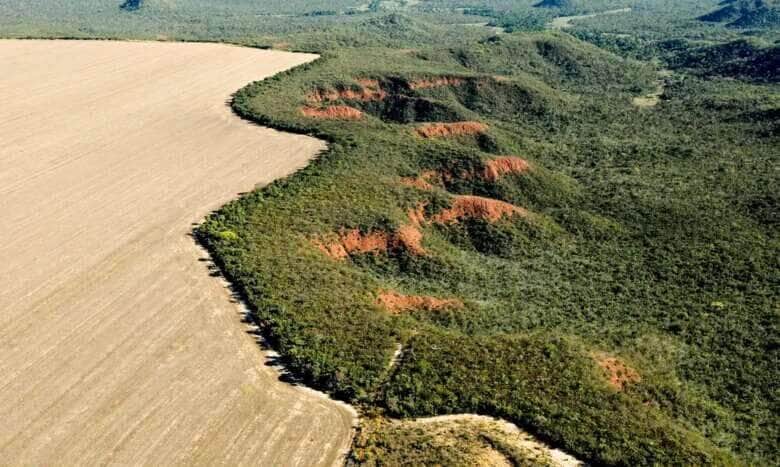 Mato Grosso aprova leis ambientais contrárias à legislação federal