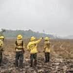 Brasília (DF) 12/09/2024 - Brigadistas do Prevfogo/Ibama e ICMBio combatem incêndios florestais na Terra Indígena Tenharim/Marmelos, no Amazonas Foto: Mayangdi Inzaulgarat/Ibama