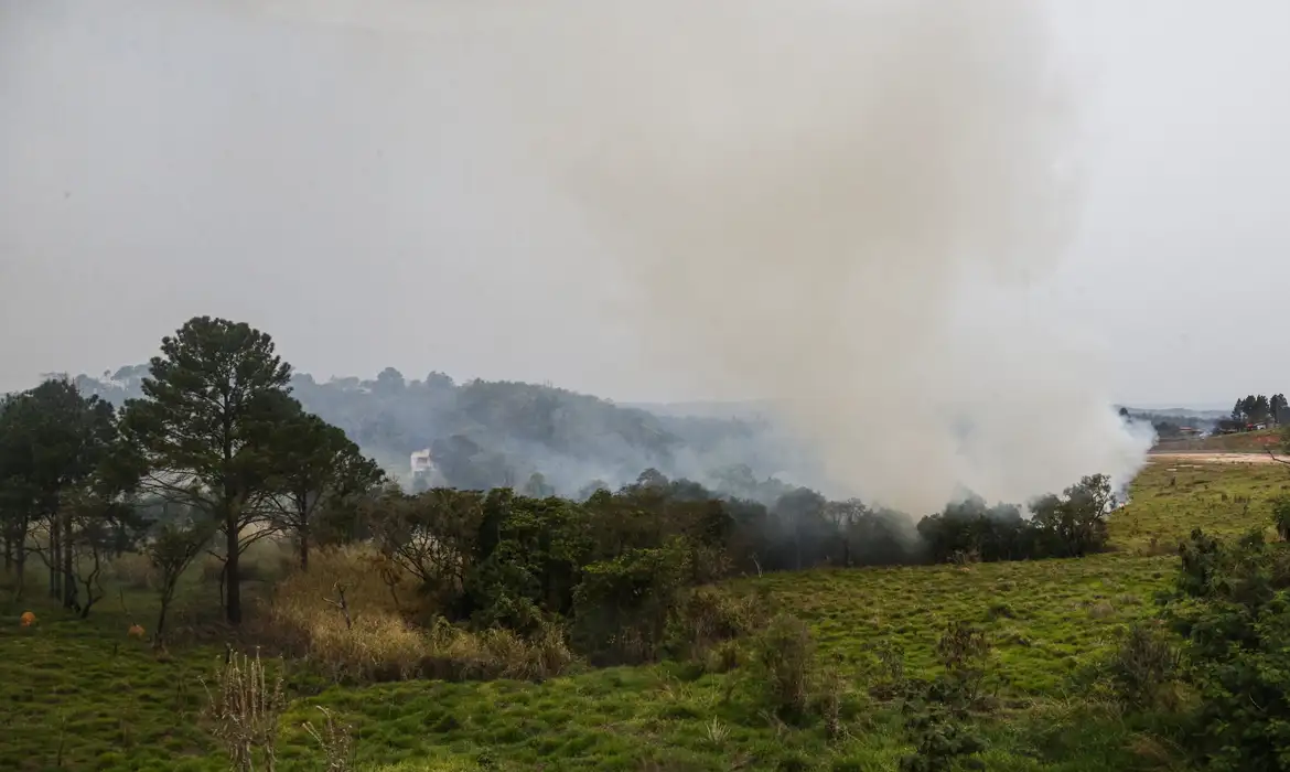 Como a fumaça dos incêndios afeta a pele? Saiba como se proteger 3 São Paulo (SP) 24/08/2024 - Foco de incêndio próximo a rodovia presidente Castelo Branco, o governo de São Paulo cria gabinete de crise para combate a incêndios Estradas são interditadas e 30 municípios estão em alerta máximo Foto: Paulo Pinto/Agência Brasil