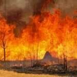 Brasília, DF 15-09-2024 Um Incendio atingiu o Parque Nacional de Brasília. Bombeiros e populares tentavam conter as chamas Foto: Fabio Rodrigues-Pozzebom