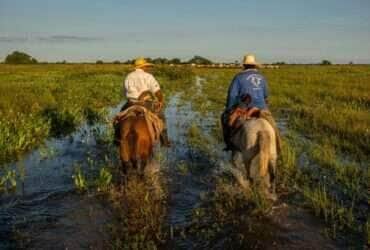 fazenda pantaneira Lucas Ninno