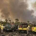 Brasília (DF) 12/09/2024 - Brigadistas do Prevfogo/Ibama e ICMBio combatem incêndios florestais na Terra Indígena Tenharim/Marmelos, no Amazonas Foto: Mayangdi Inzaulgarat/Ibama
