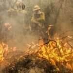 Bombeiros de Mato Grosso combatem 22 incêndios florestais no Estado neste sábado (12)