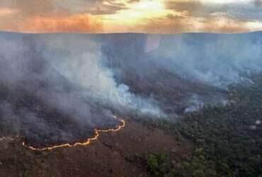 Polícia Federal investiga incêndios criminosos em fazendas em Mato Grosso