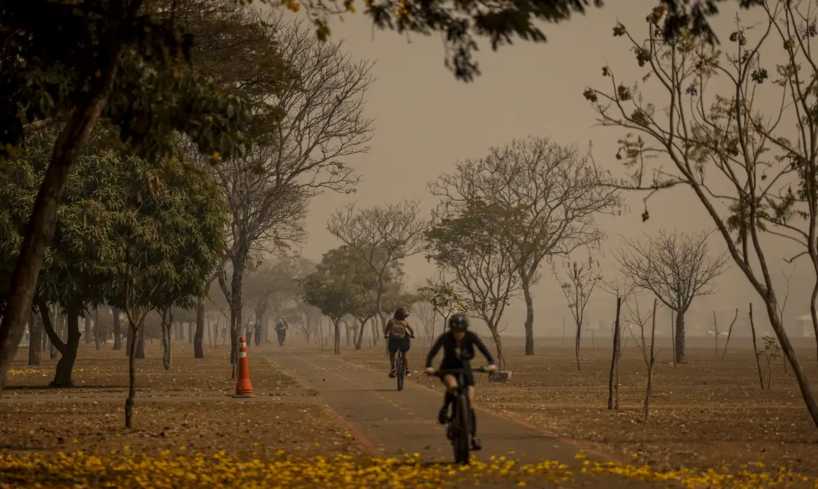 Como a fumaça dos incêndios afeta a pele? Saiba como se proteger 6 queimadas
