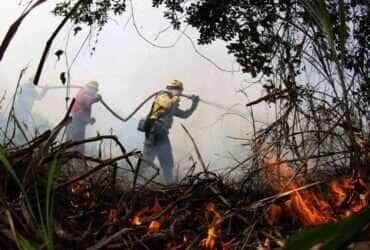 Plano Clima Participativo atinge o marco de mil propostas recebidas - Divulgação