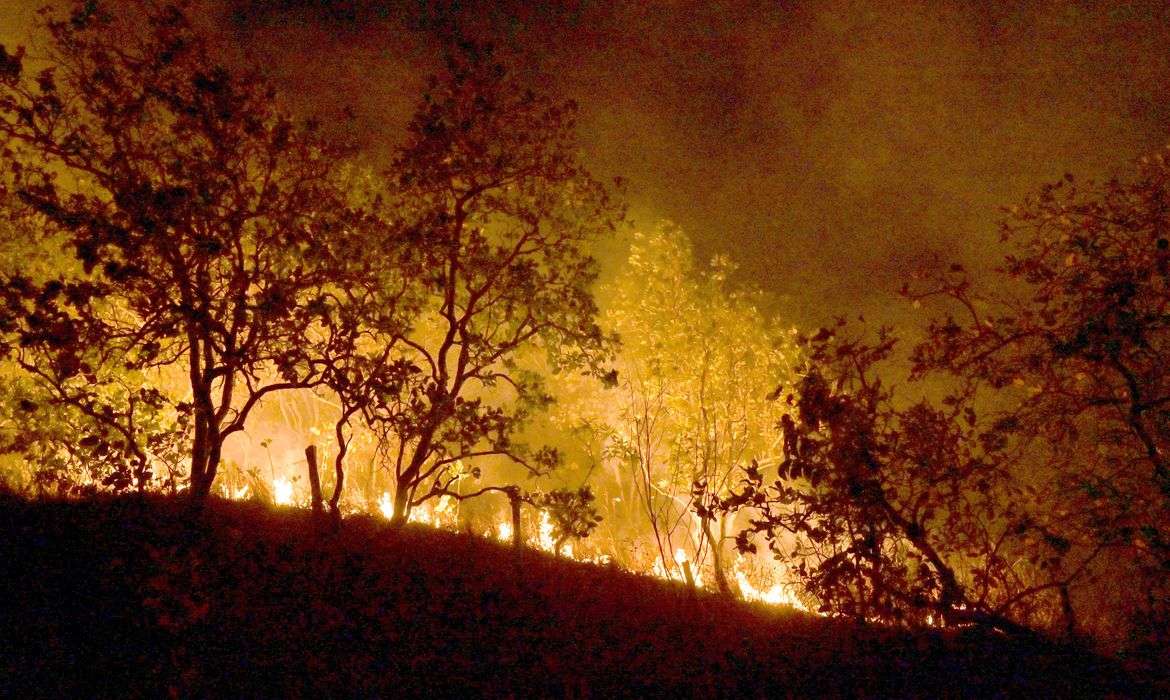 Como a fumaça dos incêndios afeta a pele? Saiba como se proteger 7 20-02-2024 Queimadas e incêndios em Amajari – Roraima - Foto Jader Souza/AL Roraima