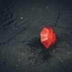 Mato Grosso tem alerta de temporais com ventos fortes e chuvas intensas