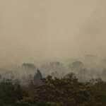 Brasília (DF), 16/09/2024 - Grandes focos de incêndio atingem áreas do Parque Nacional de Brasília. Foto: Marcelo Camargo/Agência Brasil