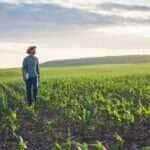 Mato Grosso avança na regularização ambiental com o Cadastro Ambiental Rural Digital