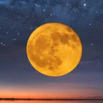 Lua Cheia do Castor