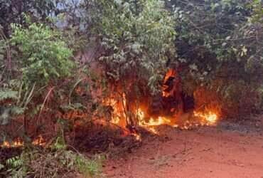Incêndio Florestal Destrói Trator em Fazenda Próxima à MT-160