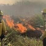 Queimadas em Mato Grosso
