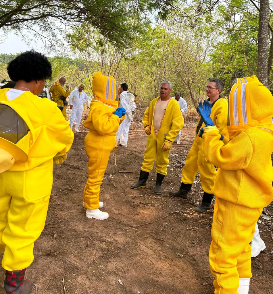 Workshop de Apicultura e Meliponicultura abordou temas como Associativismo, Sanidade Apícola e Diversificação de Produtos 8 apicultura cat sorriso1