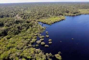 O que está em jogo com as mudanças no Código Florestal de Mato Grosso?