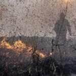 Produtores rurais de Mato Grosso lideram combate a incêndios florestais, mostram dados