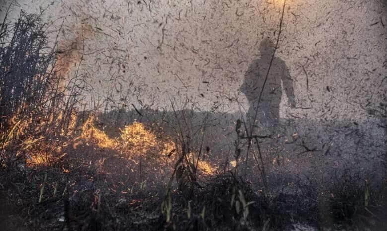 Produtores rurais de Mato Grosso lideram combate a incêndios florestais, mostram dados