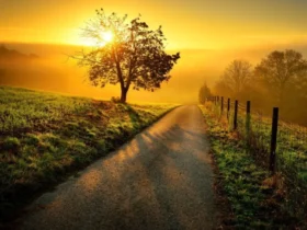 Horóscopo para amanhã