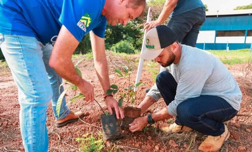 Sorriso planta futuro com mais de 500 mudas nativas e engajamento da comunidade 2 Sorriso planta futuro com mais de 500 mudas nativas e engajamento da comunidade