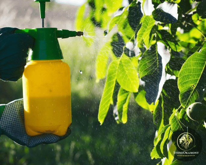 Como aplicar inseticida nas plantas? Veja aqui! 2 3 easy