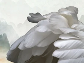 Anjo da Guarda e a mensagem de hoje