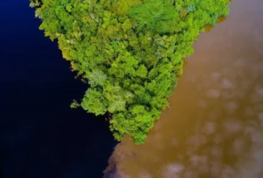 Mato Grosso e organização americana firmam parceria de US$ 100 milhões pela Amazônia