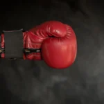 Luva Box-1