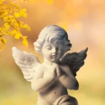 Mensagem do meu Anjo da Guarda