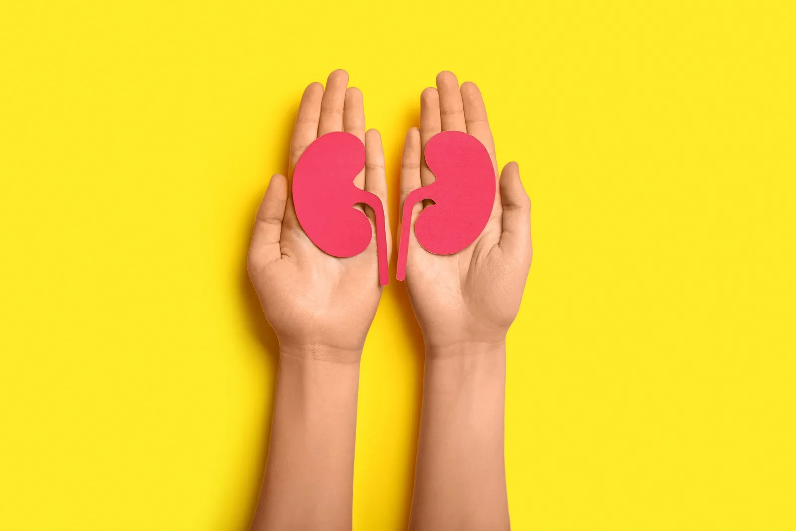 Cuidado com os rins 3 Mulher com Rins de Papel em Fundo Amarelo - Fotos do Canva1