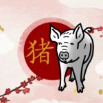 Porco horóscopo Chinês