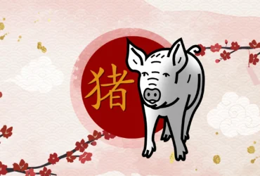 Porco horóscopo Chinês