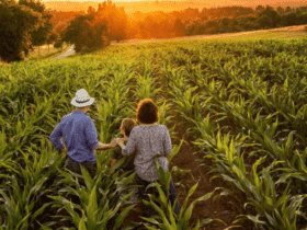 agricultura familiar capa
