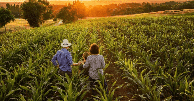agricultura familiar capa