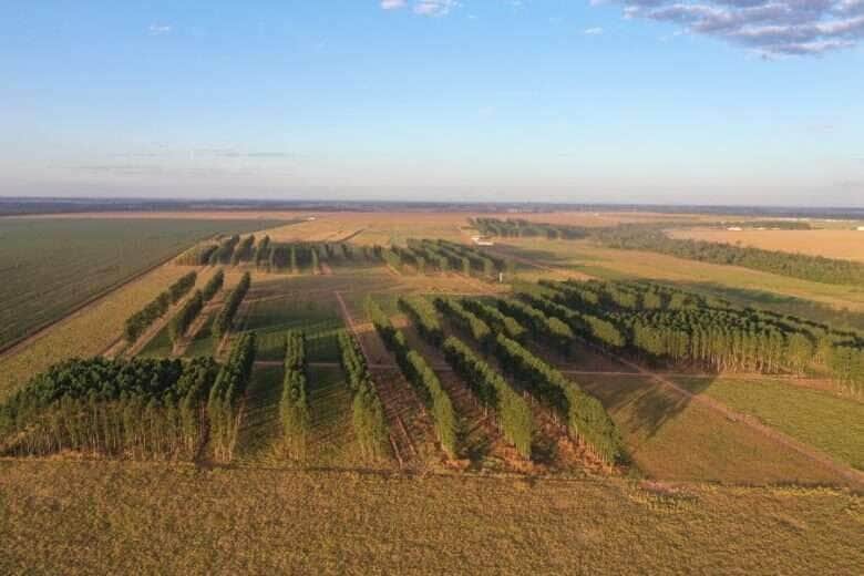 agropecuaria regenerativa gabriel faria