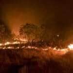 20-02-2024 Queimadas e incêndios em Amajari – Roraima - Foto Jader Souza/AL Roraima