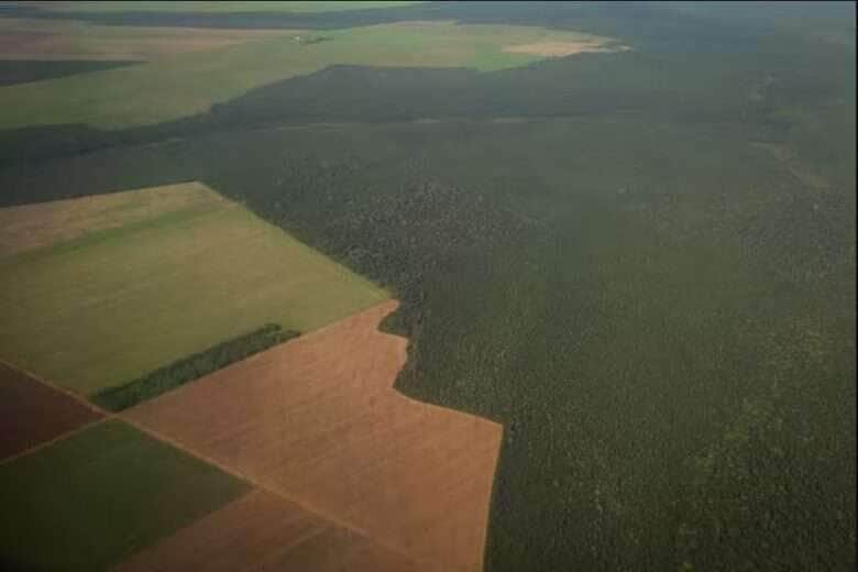 mato grosso areas de lavoura