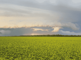 Chuvas acima da média devem atingir Mato Grosso na próxima semana